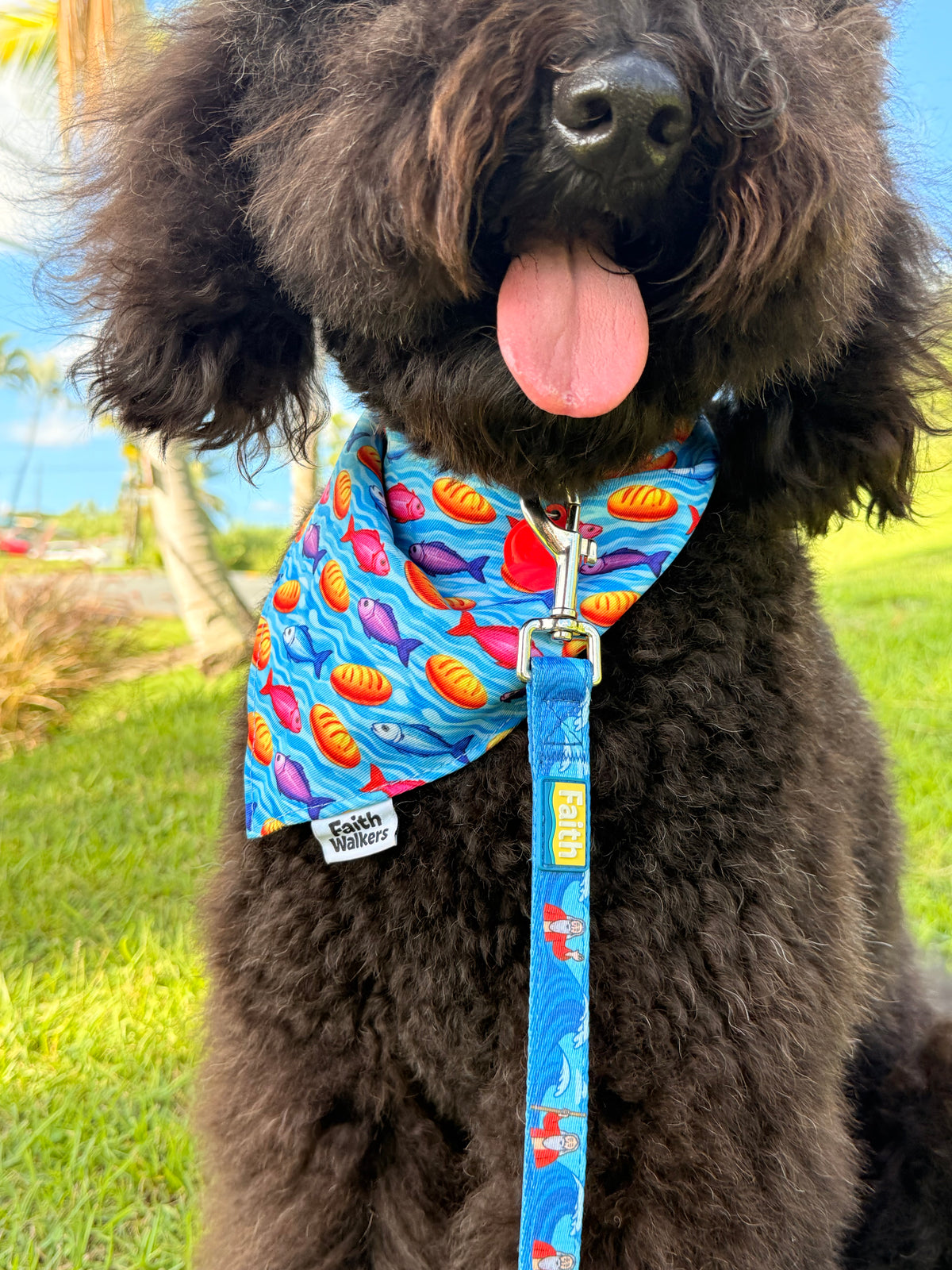 Black fluffy dog wearing a Loaves and Fishes bandana with a blue Moses and the Red Sea leash attached outdoors.
