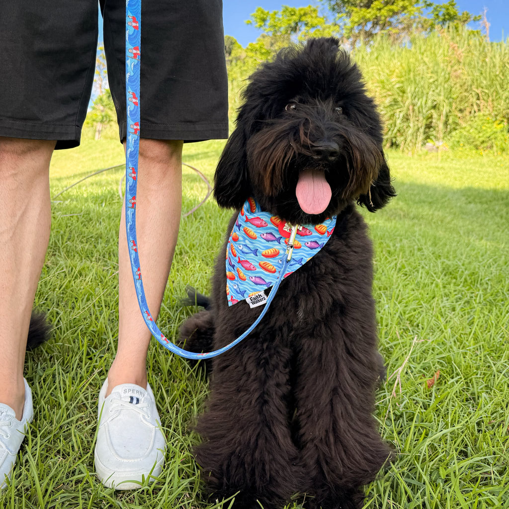 Black fluffy dog beside a person holding the blue Moses and the Red Sea leash, wearing a Loaves and Fishes bandana.