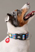 Dog wearing the Faith Walkers Loaves and Fishes collar against a warm gray background