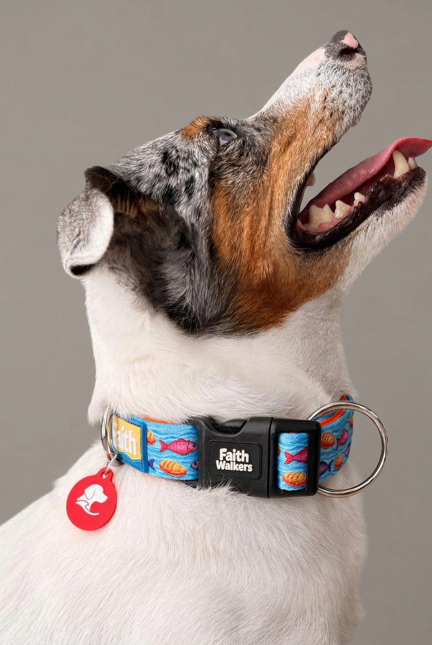 Dog wearing the Faith Walkers Loaves and Fishes collar against a warm gray background